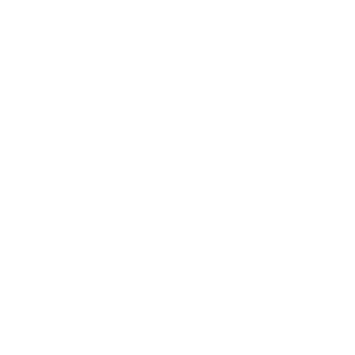 AMZ+ Consulting